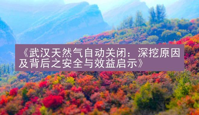 《武汉天然气自动关闭：深挖原因及背后之安全与效益启示》